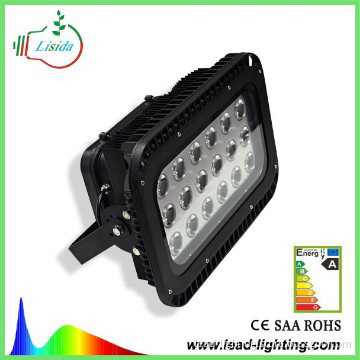 CE RoHS SAA FCC Approved Led Flood Light